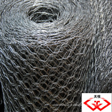 Hexagonal Wire Mesh (fornecedor China)